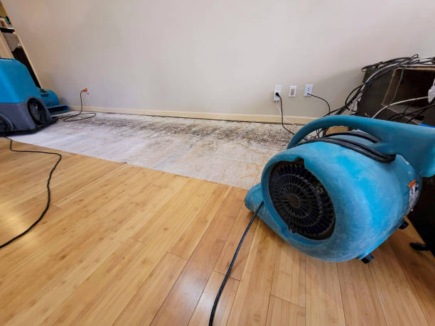 Professional Burst Pipe Water Damage technician working in Johnston, IA